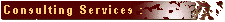Consulting Services